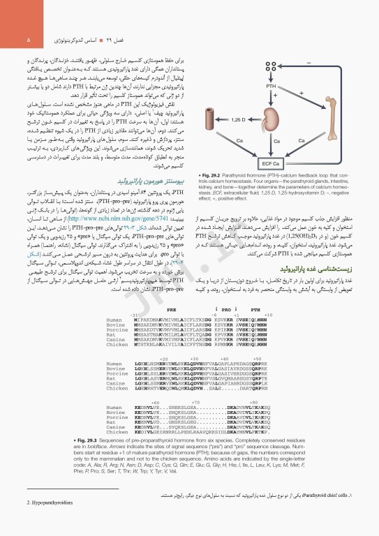 درسنامه اندوکرینولوژی ویلیامز 2020 جلد7 متابولیسم مواد معدنی