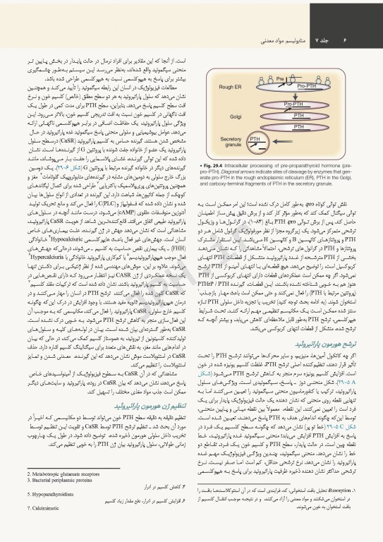 درسنامه اندوکرینولوژی ویلیامز 2020 جلد7 متابولیسم مواد معدنی