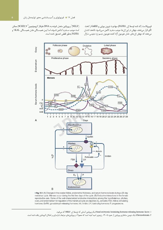 درسنامه اندوکرینولوژی ویلیامز 2020 جلد5 عملکرد و تکامل جنسی
