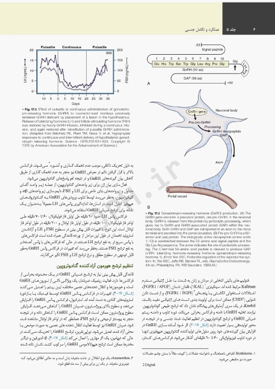 درسنامه اندوکرینولوژی ویلیامز 2020 جلد5 عملکرد و تکامل جنسی