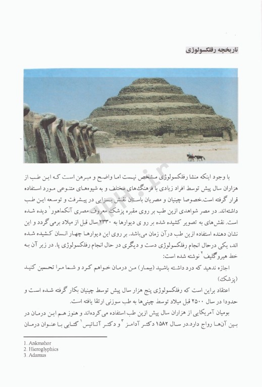 رفلکسولوژی و کاربرد بالینی آن