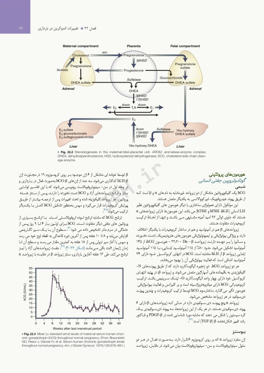 درسنامه اندوکرینولوژی ویلیامز 2020 جلد6 تغییرات اندوکرین در طول زندگی