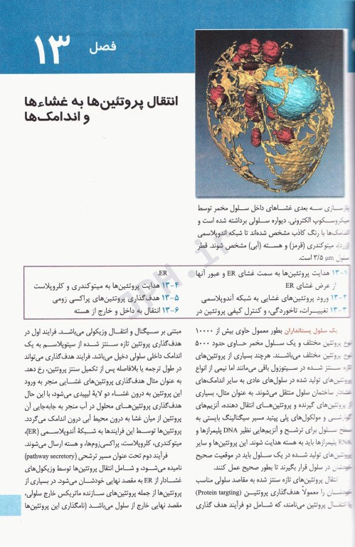 زیست شناسی سلولی و مولکولی لودیش 2021 دکتر عباس بهادر جلد2