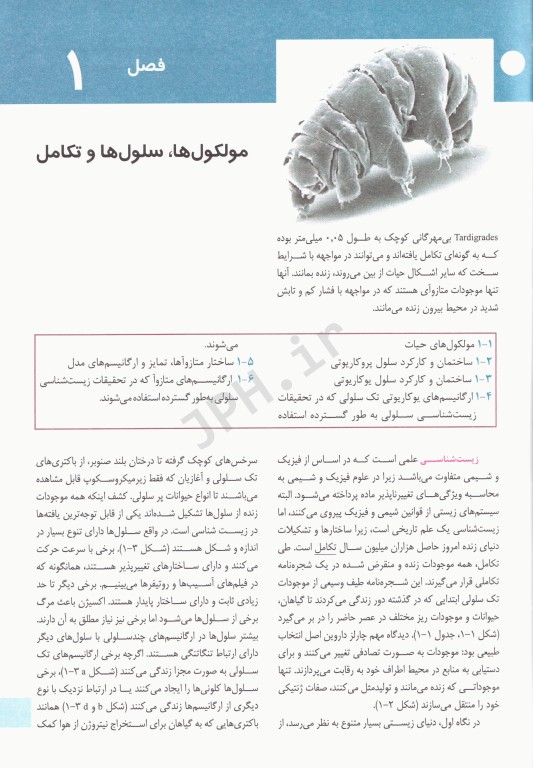 زیست شناسی سلولی و مولکولی لودیش 2021 دکتر عباس بهادر جلد1