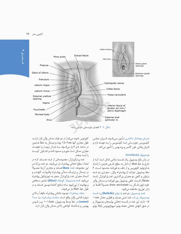 چکیده بارداری و زایمان ویلیامز 2018