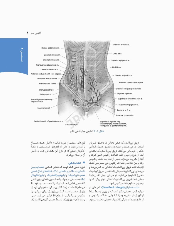 چکیده بارداری و زایمان ویلیامز 2018