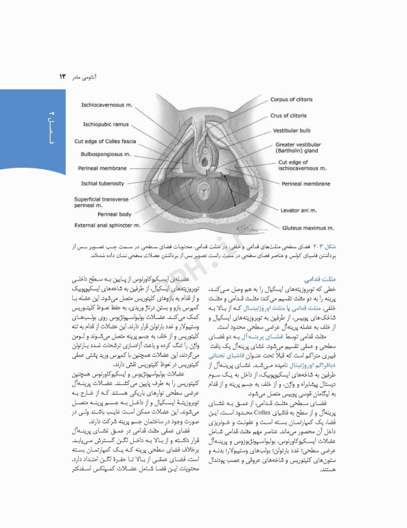 چکیده بارداری و زایمان ویلیامز 2018
