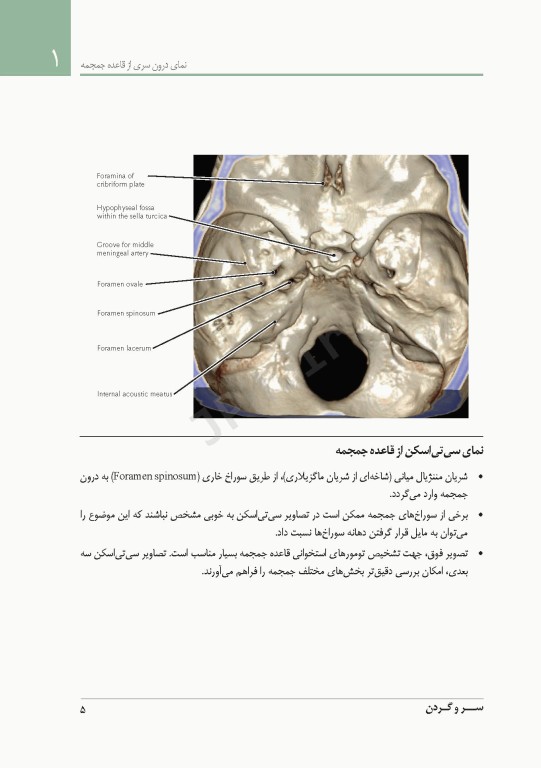 فشرده آناتومی رادیولوژیک نتر 2014