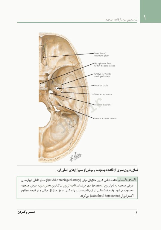 فشرده آناتومی رادیولوژیک نتر 2014