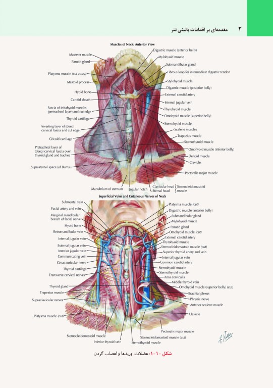 مقدمه‌ای بر اقدامات بالینی نتر + CD