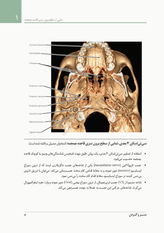 فشرده آناتومی رادیولوژیک نتر 2014