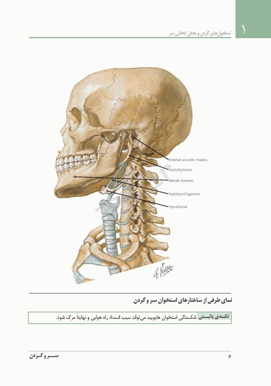 فشرده آناتومی رادیولوژیک نتر 2014