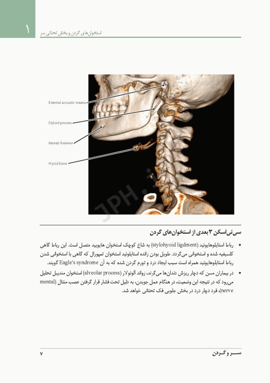 فشرده آناتومی رادیولوژیک نتر 2014
