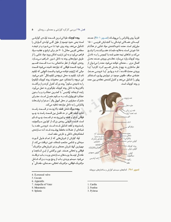 پرستاری داخلی و جراحی برونر و سودارث 2022 جلد9 گوارش