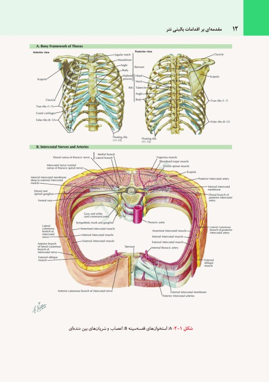 مقدمه‌ای بر اقدامات بالینی نتر + CD