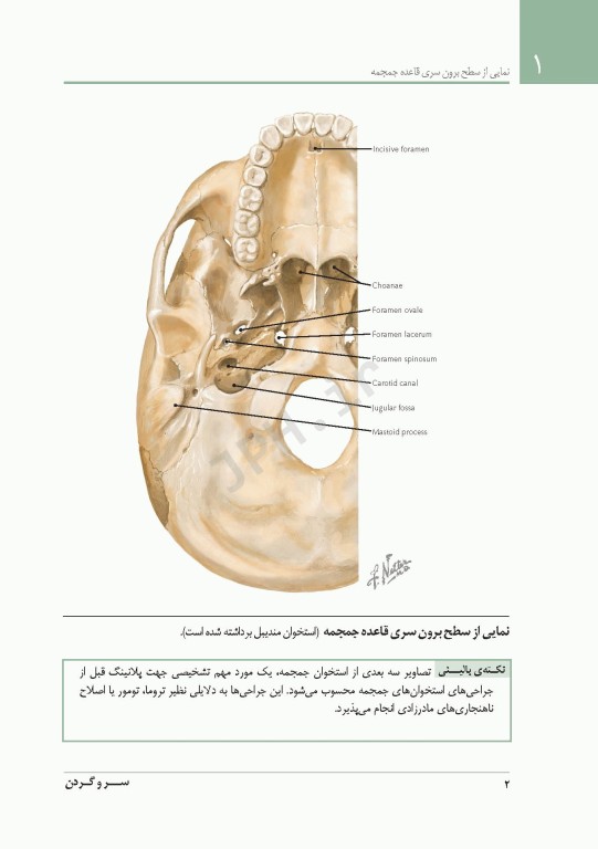 فشرده آناتومی رادیولوژیک نتر 2014