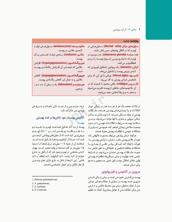 پرستاری داخلی و جراحی برونر و سودارث 2022 جلد13 پوست و سوختگی