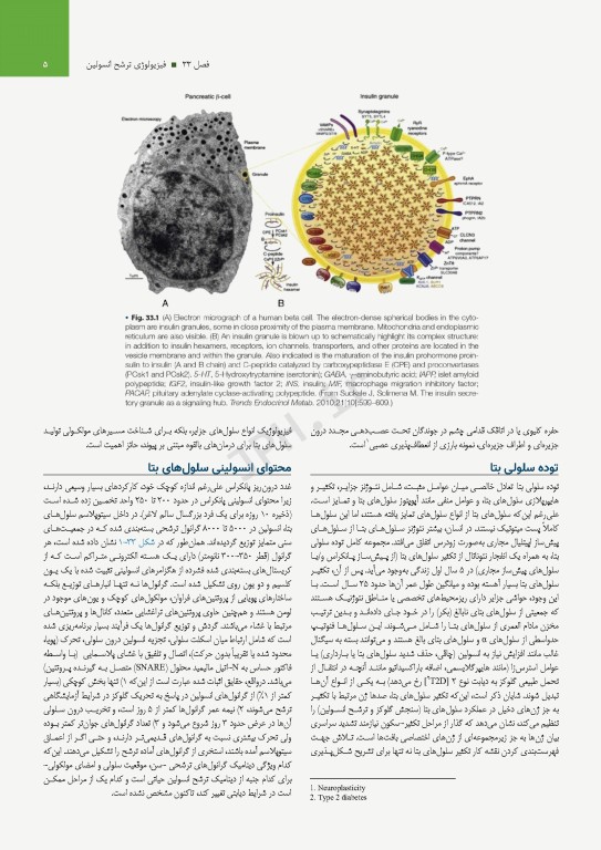 درسنامه اندوکرینولوژی ویلیامز 2020 جلد8 اختلالات متابولیسم کربوهیدرات و چربی