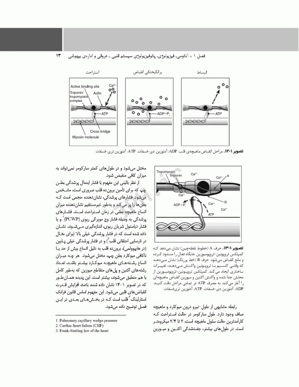 پرستار بیهوشی 2018 جلد سوم بیهوشی و بیماری‌های همراه