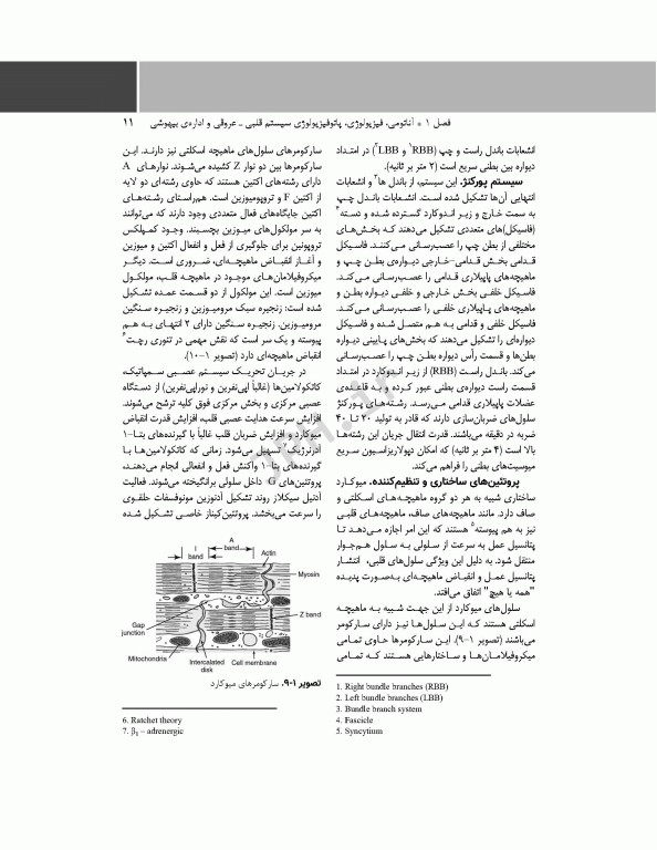 پرستار بیهوشی 2018 جلد سوم بیهوشی و بیماری‌های همراه