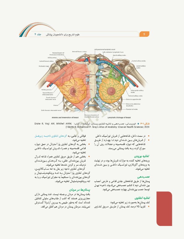 علوم تشریح برای دانشجویان پزشکی جلد4 دستگاه قلب و عروق