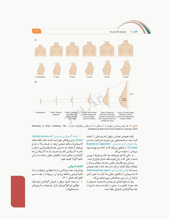 علوم تشریح برای دانشجویان پزشکی جلد4 دستگاه قلب و عروق