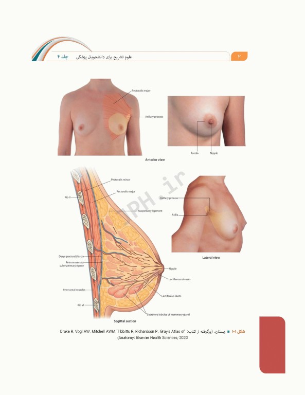 علوم تشریح برای دانشجویان پزشکی جلد4 دستگاه قلب و عروق