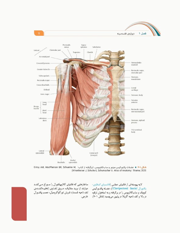 علوم تشریح برای دانشجویان پزشکی جلد4 دستگاه قلب و عروق