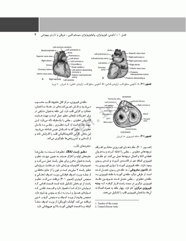 پرستار بیهوشی 2018 جلد سوم بیهوشی و بیماری‌های همراه