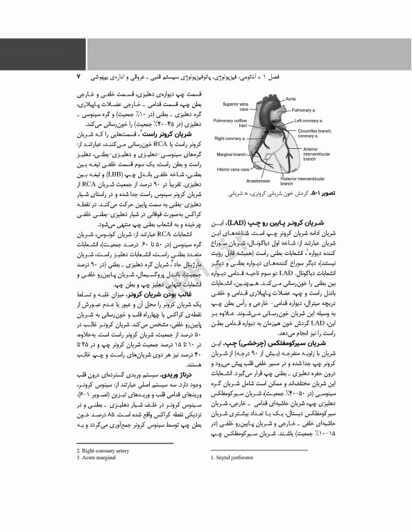 پرستار بیهوشی 2018 جلد سوم بیهوشی و بیماری‌های همراه