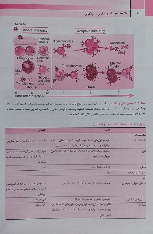 خلاصه QR ایمونولوژی سلولی و مولکولی ابوالعباس 2022