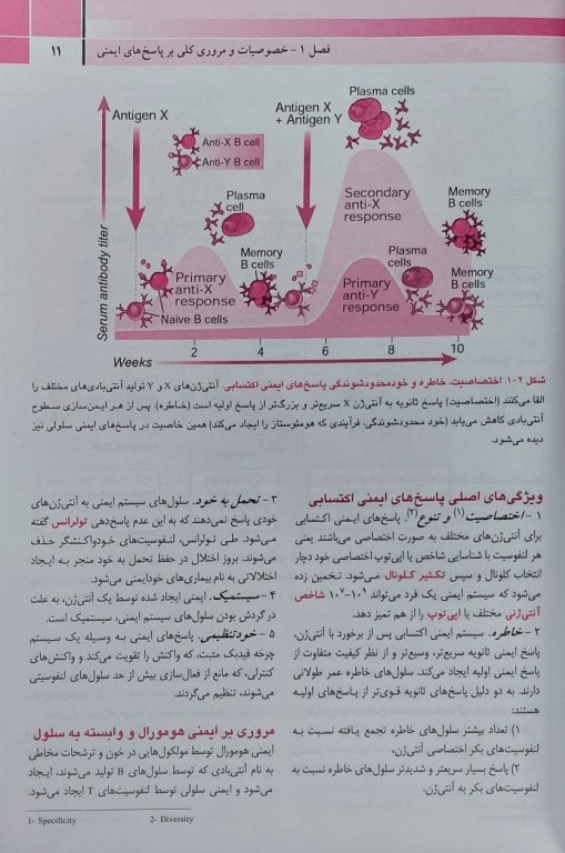خلاصه QR ایمونولوژی سلولی و مولکولی ابوالعباس 2022
