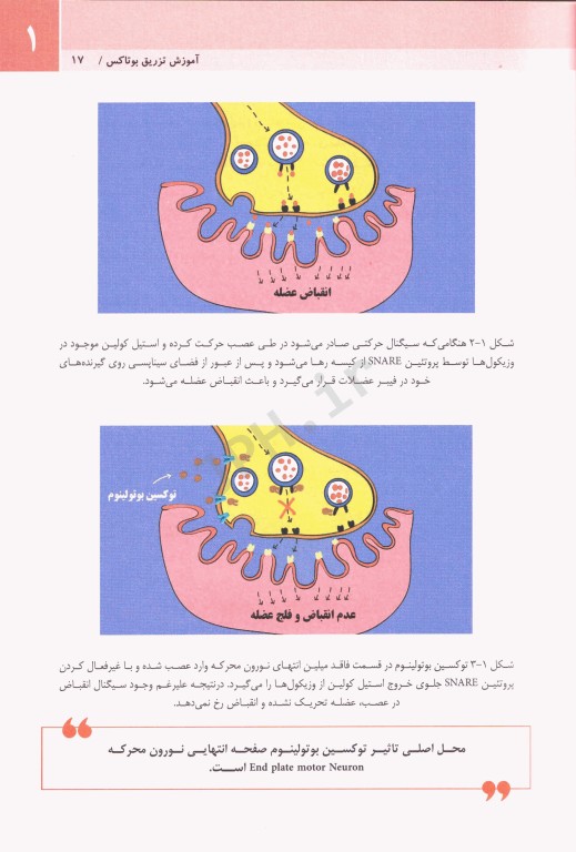مجموعه آموزشی SKILLS آموزش تزریق بوتاکس دکتر بیدکی ویراست دوم