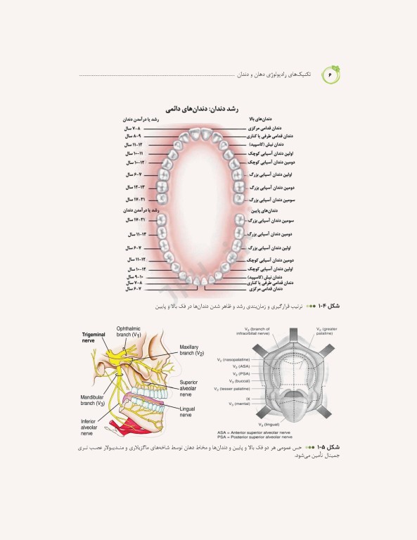 تکنیک‌های رادیولوژی دهان و دندان