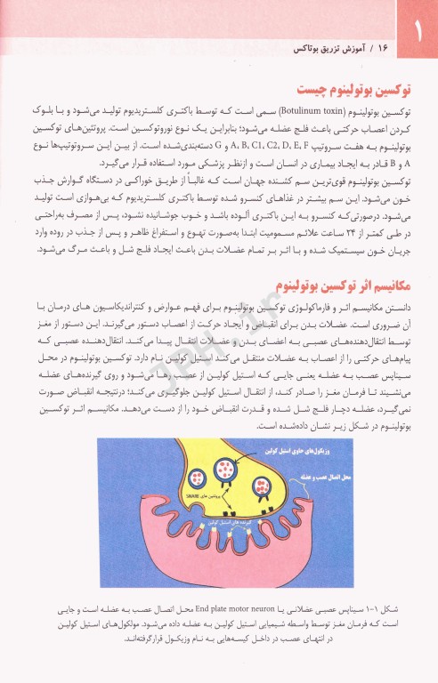 مجموعه آموزشی SKILLS آموزش تزریق بوتاکس دکتر بیدکی ویراست دوم