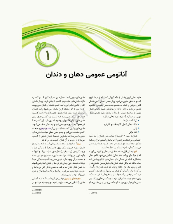 تکنیک‌های رادیولوژی دهان و دندان