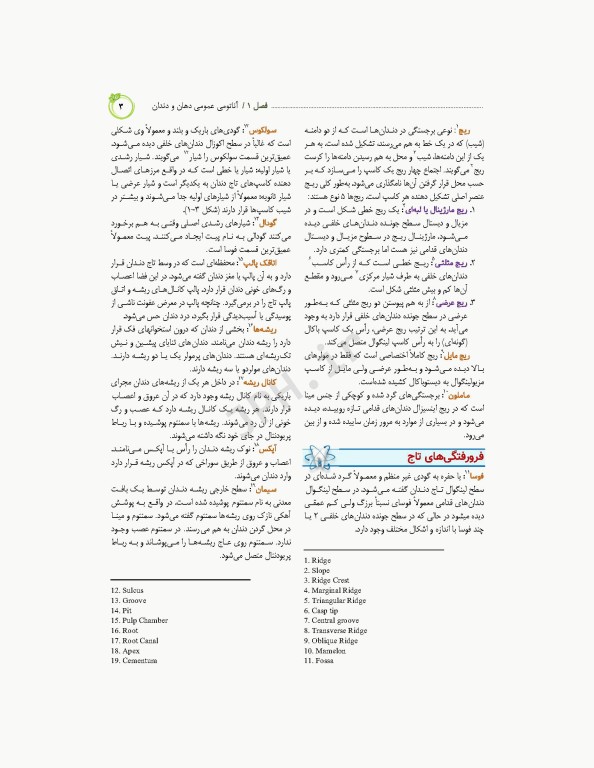 تکنیک‌های رادیولوژی دهان و دندان