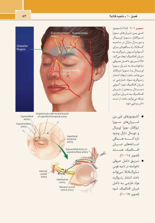 نواحی خطر صورت در پروسیجرهای زیبایی دکتر داوود رمزی