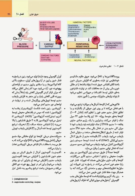 آسیب‌شناسی پایه اختصاصی رابینز 2017 نشر ارجمند