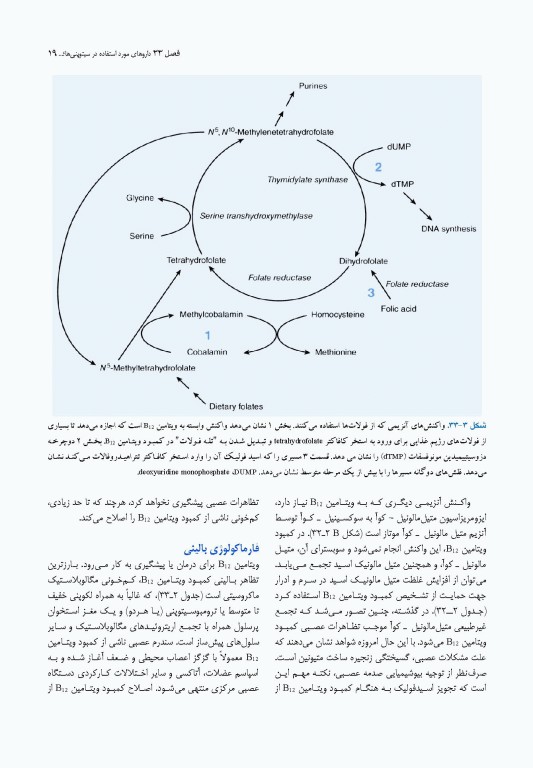 فارماکولوژی پایه و بالینی کاتزونگ 2021 دکتر سبحانیان جلد دوم