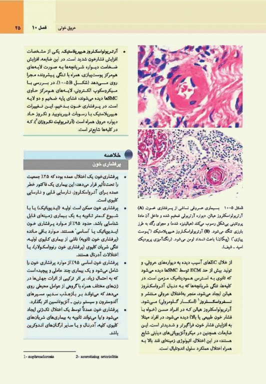 آسیب‌شناسی پایه اختصاصی رابینز 2017 نشر ارجمند