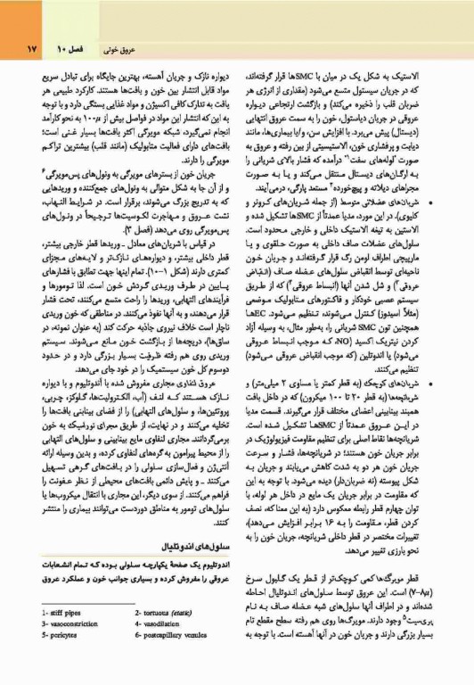 آسیب‌شناسی پایه اختصاصی رابینز 2017 نشر ارجمند