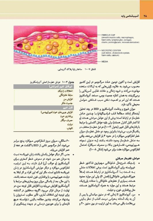 آسیب‌شناسی پایه اختصاصی رابینز 2017 نشر ارجمند