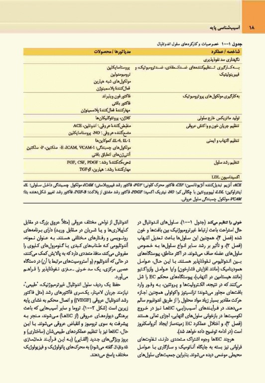 آسیب‌شناسی پایه اختصاصی رابینز 2017 نشر ارجمند