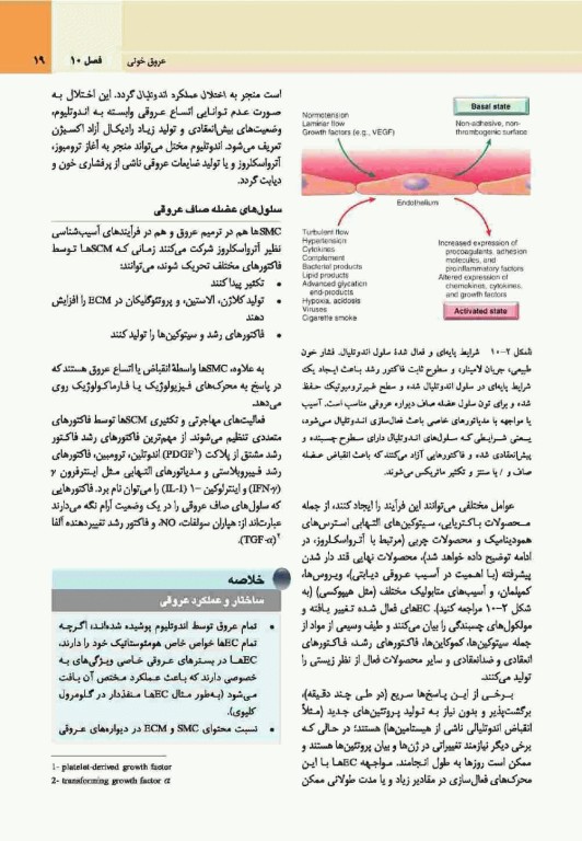 آسیب‌شناسی پایه اختصاصی رابینز 2017 نشر ارجمند