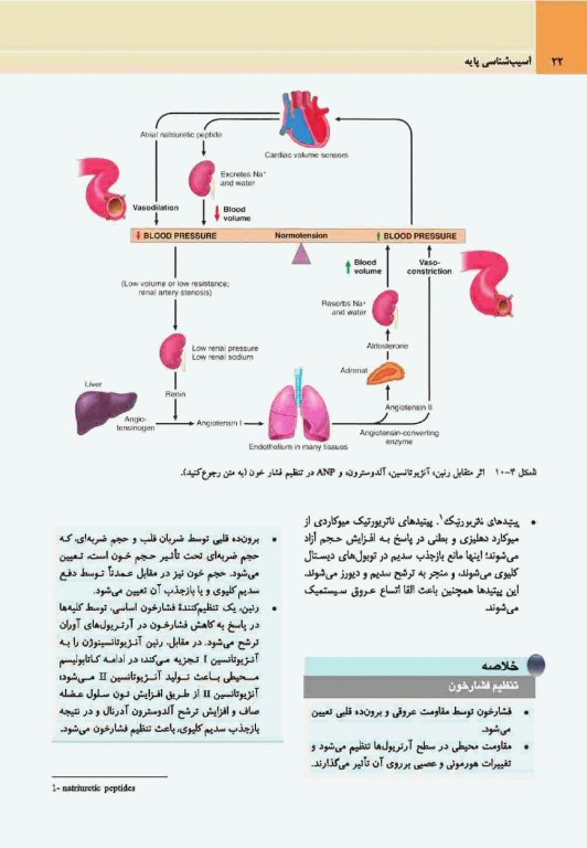 آسیب‌شناسی پایه اختصاصی رابینز 2017 نشر ارجمند