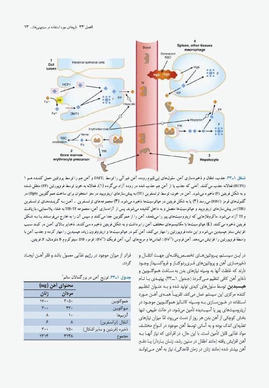 فارماکولوژی پایه و بالینی کاتزونگ 2021 دکتر سبحانیان جلد دوم