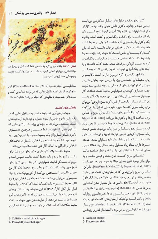 میکروب‌شناسی هنری دیویدسون 2022 دکتر عباس بهادر