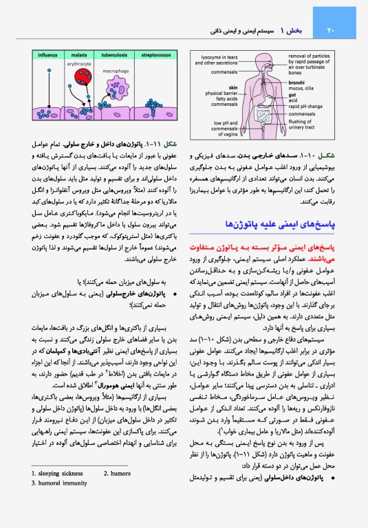 ایمونولوژی رویت 2021 دکتر کیهانی