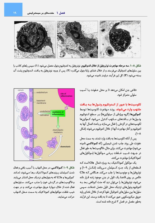 ایمونولوژی رویت 2021 دکتر کیهانی
